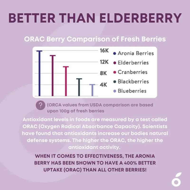 Gomitas Aronia Superberry para Apoyo Inmune y Antioxidante
