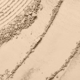 Lancôme Dual Finish Powder Foundation - Natural Finish, Sheer-to-Full Coverage, Longwear Powder Foundation, Controls Shine - 205 Neutrale II Warm