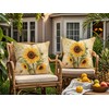 Doobicy Vintage Car Throw Pillow Covers 18x18 Set of 2