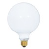 Satco S3003 120-Volt 100-Watt G40 Medium Base Light Bulb, Gloss
