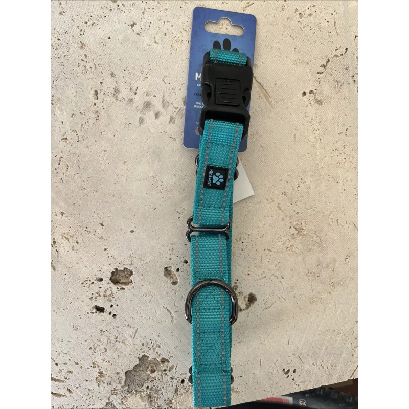 DO&G Max And Neo Teal Dog Collar Large