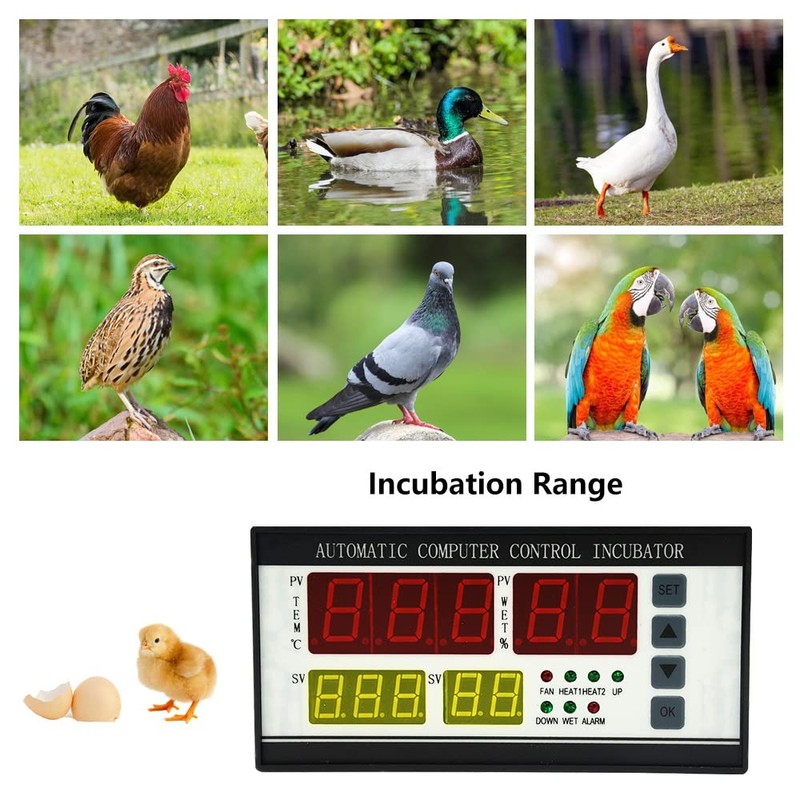 Automatic Control System for Egg Incubator Machine and Temperature and