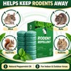 Peppermint Oil Rodent Repellent Ball for Home Use (12pc)– Natural