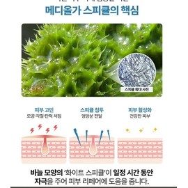 Mediorga Spicule Cream