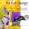 ThinkPet No Pull Harness Set Breathable Sport Harness with Handle