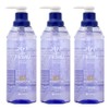 LG Household & Health Care Ardpo Hair Gel, 300ml, 3 pcs / LG생활건강 아르드포 헤어젤, 300ml, 3개