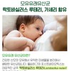 Healthy Hug Postbiotics F Probiotic Proline Breastfeeding Lactobacillus 1. Healthy