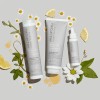 Champú Paul Mitchell Clean Beauty Scalp Therapy: Limpia Y Re