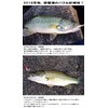 Evolution Blade Jig "SEP String Moon" (Silver + Glow (Luminou),