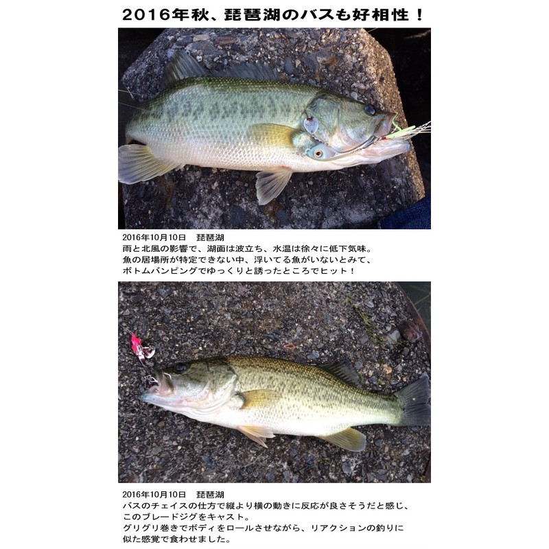 Evolution Blade Jig "SEP String Moon" (Silver + Glow (Luminou),