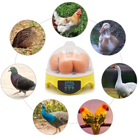 Yuecheng BREUAILY Mini 7 Egg Incubator Poultry Incubator,Fully Automatic chick brooder Intelligent temperature control with LED Digital Screen for Chicken Quail Reptile Egg Uk Plug