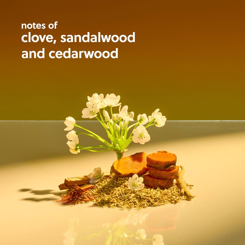 Tree Hut Foaming Gel Wash Santal Haze