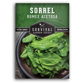 1 Pack Sorrel Seed for Planting - Packet with Instructions to Plant and Grow Rumex Acetosa Tangy Herb and Salad Greens in Your Home Vegetable Garden - Non-GMO Heirloom Variety - Survival Garden Seeds