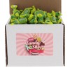 SECRET CANDY SHOP Tootsie Fruit Chews Candy Bulk in Box