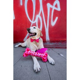 Huxley & Kent Bow Tie for Pets | My Puppy Love (Large) | Valentine's Day Bow Tie Collar Attachment | Fun Bow Ties for Dogs & Cats | Cute, Comfortable, and Durable | H&K Bow Tie