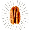 Fortune Favors Candied Pecans, Sweet and Salty Snack, Hand Crafted