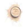 Polvo Make It Last Setting Powder 01translucentlighttomedium