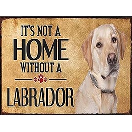 YEEIFFD 5D Diamond Painting Kits It's Not a Home Without a Labrador Paint by Number Full Round Drill Diamond Art for Adults Wall Decoration 12x16 Inches