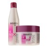 Kit Tratamiento Salerm Hi Repair Shampoo Y Mascarilla 250 Ml