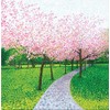 Susan Entwistle Art Cherry Blossom Limited Edition Canvas, Multi-Colour, 50 x 50 cm