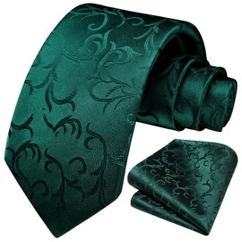 HISDERN Men's Tie Wedding Paisley Ties Handkerchief Flowers Elegant Classic Tie & Pocket Square Set, N-Green-2