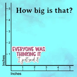 (3Pcs) Everyone was Thinking It I Just Said It Sticker Funny Quote Sarcastic Decals Waterproof Vinyl Sticker for Books Laptops Phone Water Bottles Tumbler Cup Kindle 3 Inch