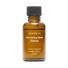 MUJI OCH06A4A Essential Oil Clean Blend Citrus 1.0 fl oz