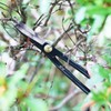 KAKURI Ashinaga Bonsai Scissors Made in Japan 8", Japanese Carbon