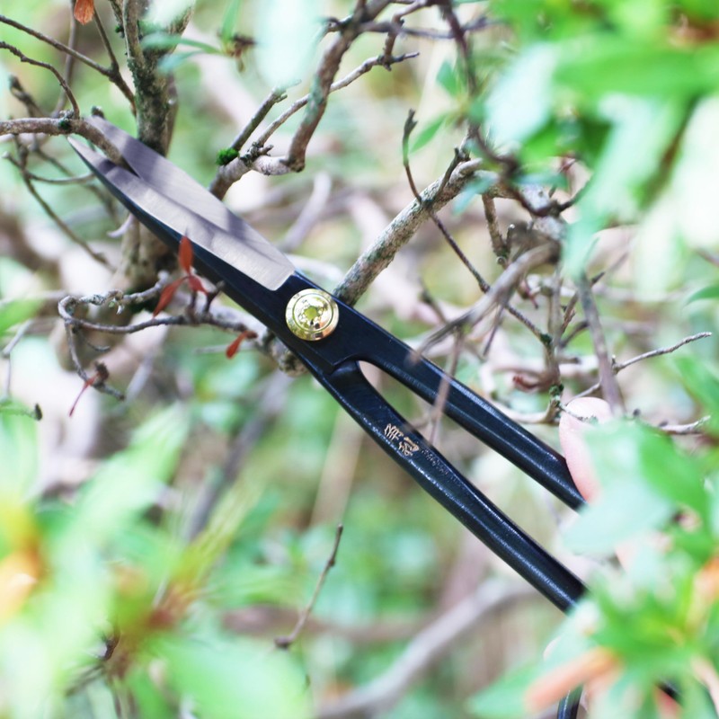 KAKURI Ashinaga Bonsai Scissors Made in Japan 8", Japanese Carbon
