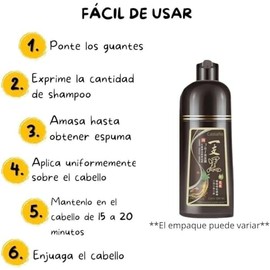 Castaño - Shampoo Tinte Instantáneo Para Cabello, Castaño, Con Extracto de Jengibre y Ginseng, 500ml Más Sobres de Viaje de Regalo (30g), Cubre Canas,