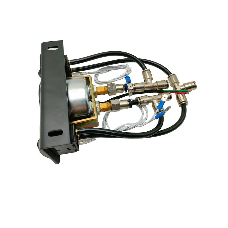 Dual Needle Air Gauge with Paddle Switch for Air Pressure