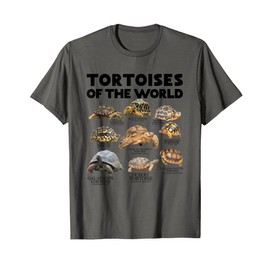 Tortoises Of The World Turtles Lover Save The Tortoises T-Shirt