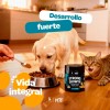 Suplemento B Life Cápsula Strong Growth 375g