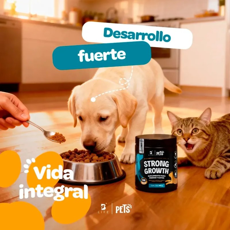 Suplemento B Life Cápsula Strong Growth 375g