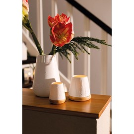 Poetry Lantern Forest