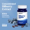 Bilberry 8000mg Capsules – Bilberry Extract Supplement for Eye Health