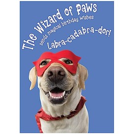 Glory To Dog The Wizard of Paws Sends You Birthday Wishes Labra-cadabra-dor! Happy Birthday Card Card with Greeting Card Mailing Envelope