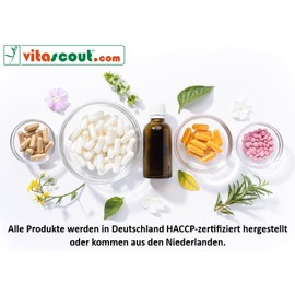 MSM & Glucosamine Sulphate Powder with Chondroitin - 380 High Dose Capsules, Contains Vitamin C