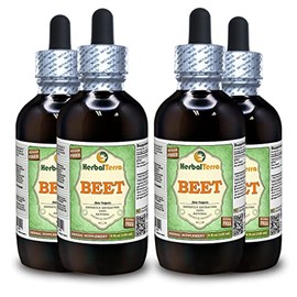 Beet (Beta Vulgaris) Glycerite, Organic Dried Leaves Alcohol-Free Liquid Extract (Brand Name: HerbalTerra, Proudly Made in USA) 4x4 fl.oz (4x120 ml)