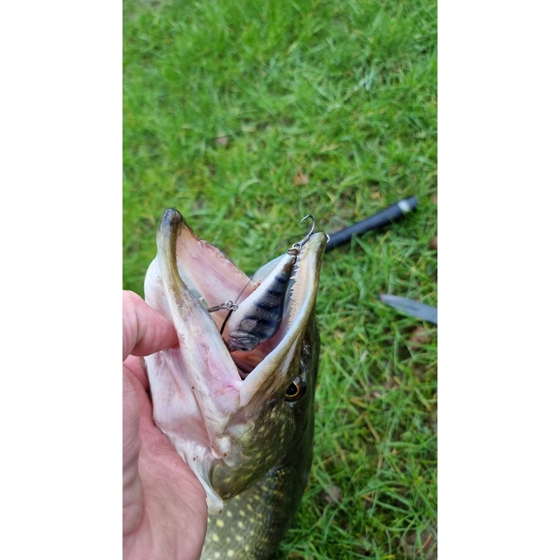 Major Fish Medium Jerk Jerkbait 10 cm Pike Wobbler Artificial