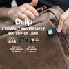 OLIGHT Oclip Rechargeable EDC Flashlight 300 Lumens Dual Sources Compact