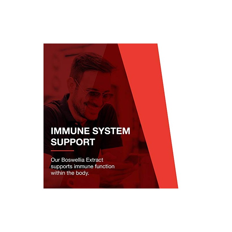 Protocol Boswellia Extract 500mg - Immune Support with MCT Oil