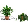 Soil Moist SAP Super Absorbent Polymer Smaller Granular Size is