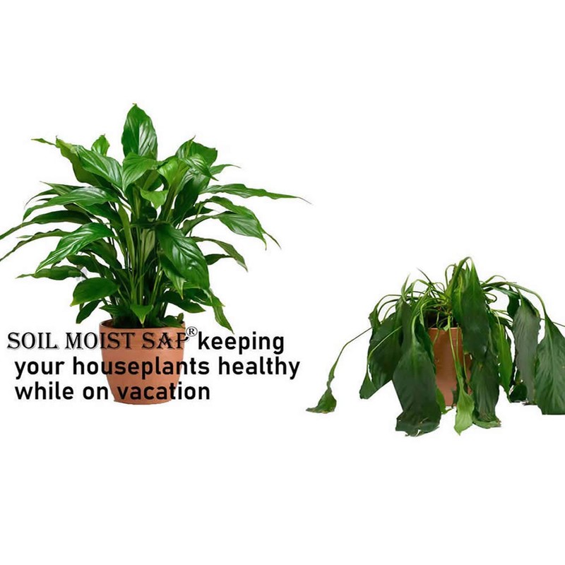 Soil Moist SAP Super Absorbent Polymer Smaller Granular Size is