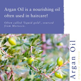 Absolute Aromas Argan Oil (Argania Spinosa) 50ml - Pure, Natural, Cruelty Free and Vegan Moisturising Carrier Oil for Hair, Face and Massage