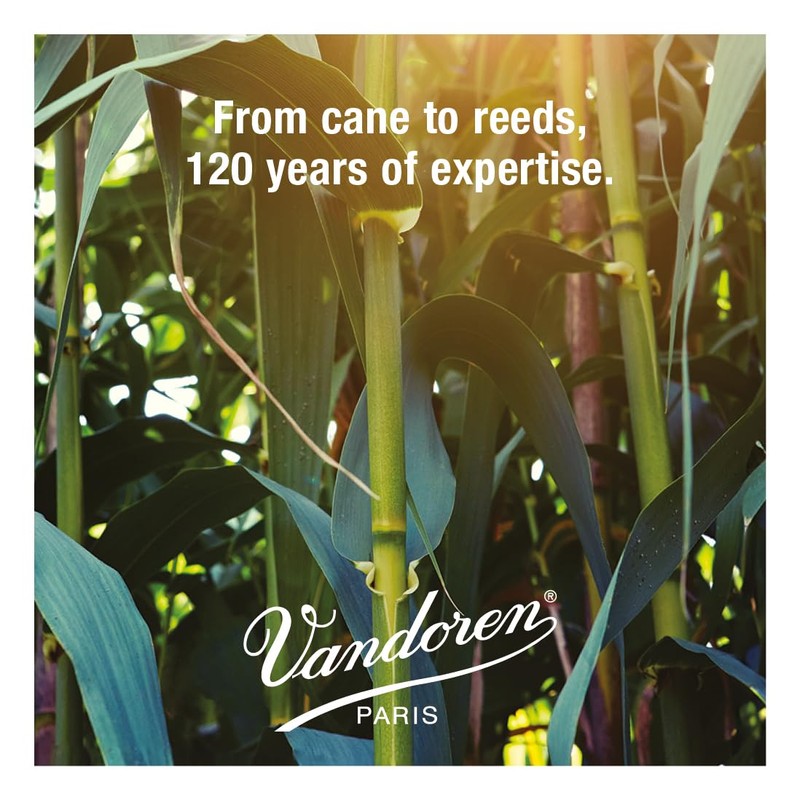 Vandoren JUNO Alto Saxophone Reeds, Strength 1.5, Box of 10,