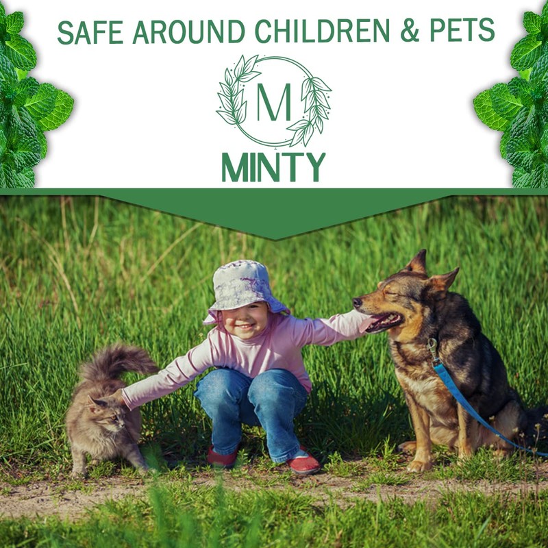 Minty Rodent Repellent, Natural 5% Peppermint Oil Spray for Mice,