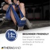 THERABAND Resistance Bands Set, Advanced Kit, Blue, Black, Silver, Latex