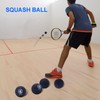 J Bryant Squash Balls 4 Pack, Single Blue Dot Rubber