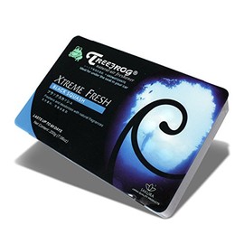 Auto Dynasty TreeFrog Xtreme Fresh Under-The-Car Natural Air Freshener, (Black Squash Scented)